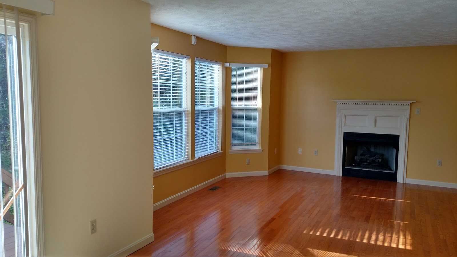 House Painting and Floor Installation in Venetia